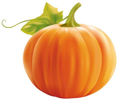 pumpkin clip art